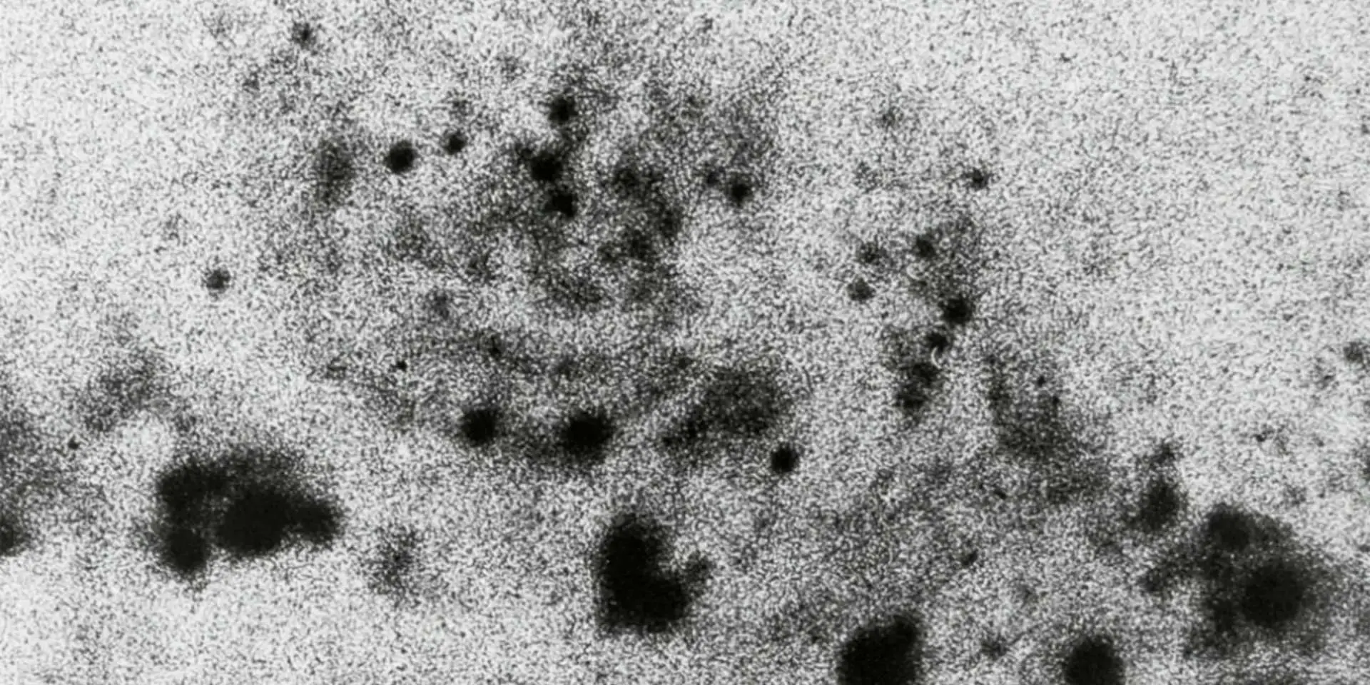 从比特币到 AI 自治，了解加密网络经济的三次进化